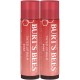 HIDRATANTE LABIAL COM COR BURT'S BEES LI