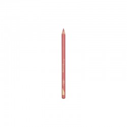 LAPIS DE BOCA LOREAL COLOUR RICHE