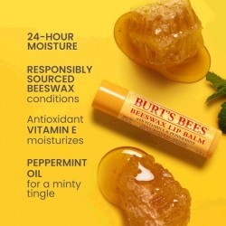PROTETOR LABIAL BURT'S BEES