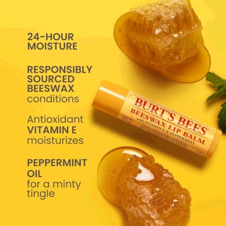 PROTETOR LABIAL BURT'S BEES