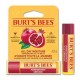 PROTETOR LABIAL BURT'S BEES ROMA
