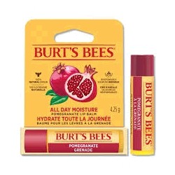 PROTETOR LABIAL BURT'S BEES ROMA