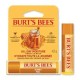 PROTETOR LABIAL BURT'S BEES HOHEY