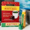 PROTETOR LABIAL BURT'S BEES MINT COCOA