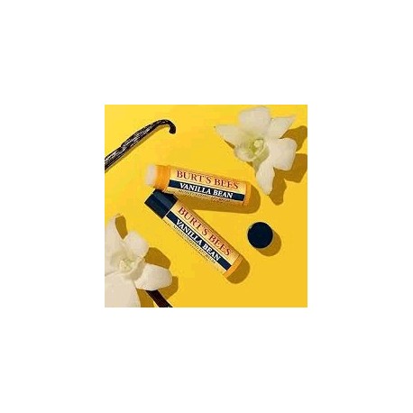 PROTETOR LABIAL BURT'S BEES VANILLA BEAN