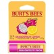 PROTETOR LABIAL BURT'S BEES DRAGONFRUIT