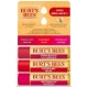 TRIO DE PROTETOR LABIAL MIN BURT'S BEES