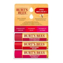 TRIO DE PROTETOR LABIAL MIN BURT'S BEES