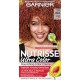 Garnier Nutrisse Tintura de Cabelo RZ4 Bronze