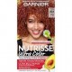 TINTURA GARNIER NUTRISSE ULTRA RZ4 RONZE